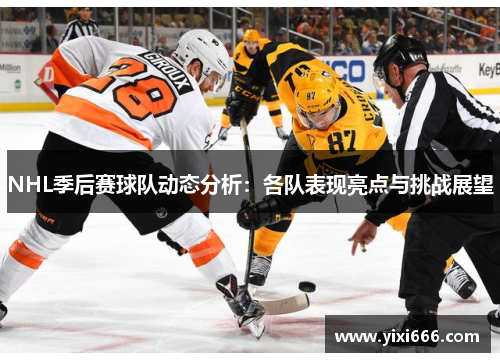NHL季后赛球队动态分析：各队表现亮点与挑战展望