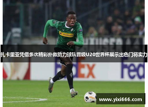 扎卡里亚凭借多次精彩扑救助力球队晋级U20世界杯展示出色门将实力