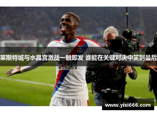 莱斯特城与水晶宫激战一触即发 谁能在关键对决中笑到最后