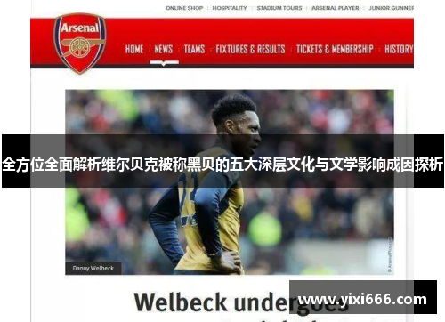 全方位全面解析维尔贝克被称黑贝的五大深层文化与文学影响成因探析