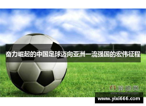 奋力崛起的中国足球迈向亚洲一流强国的宏伟征程