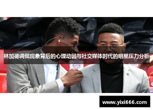 林加德调侃现象背后的心理动因与社交媒体时代的明星压力分析