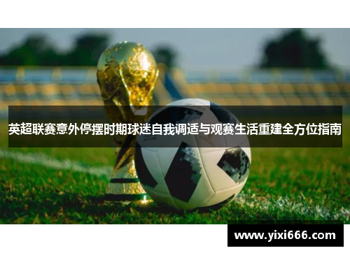 英超联赛意外停摆时期球迷自我调适与观赛生活重建全方位指南